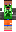 skin of a player