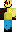 skin of a player