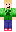 skin of a player