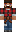 skin of a player