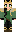 skin of a player