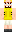 skin of a player