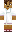 skin of a player