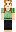 skin of a player