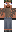 skin of a player