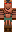 skin of a player