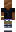 skin of a player
