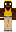 skin of a player