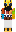 skin of a player
