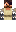 skin of a player