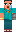 skin of a player