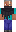 skin of a player