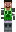 skin of a player