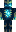 skin of a player