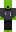 skin of a player