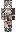 skin of a player