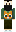 skin of a player