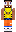 skin of a player