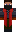 skin of a player