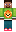 skin of a player