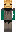 skin of a player