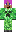 skin of a player