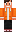 skin of a player