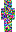 skin of a player
