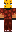 skin of a player