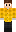 skin of a player