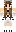 skin of a player