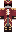 skin of a player