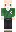 skin of a player