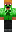skin of a player