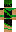 skin of a player