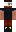 skin of a player