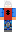 skin of a player