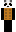 skin of a player