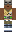 skin of a player