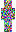 skin of a player
