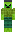 skin of a player