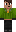 skin of a player