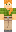 skin of a player