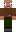 skin of a player