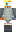 skin of a player
