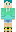 skin of a player