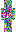 skin of a player