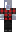 skin of a player