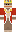 skin of a player