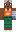 skin of a player